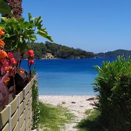 Arktos Апартаменты